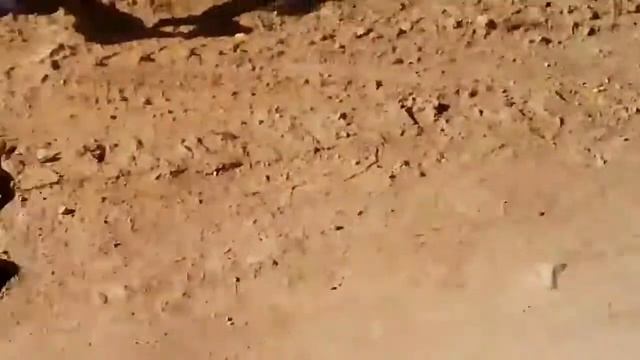 Я испугался когда увидел змею смотреть онлайн