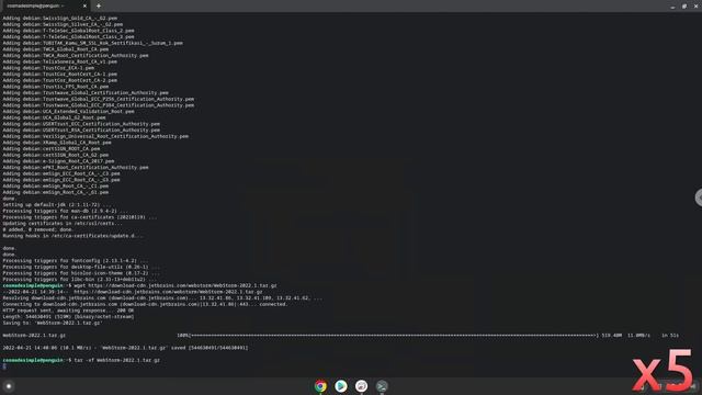 How to install WebStorm 2022 on a Chromebook смотреть онлайн