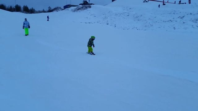 Доступные автомобили и их предложения