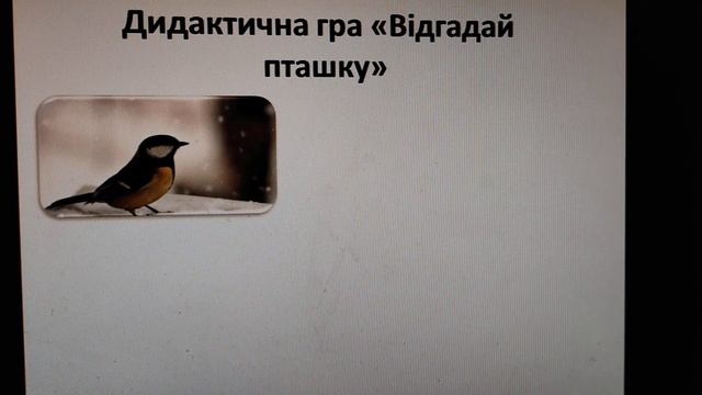 Бесіда "Годування птахів" смотреть онлайн