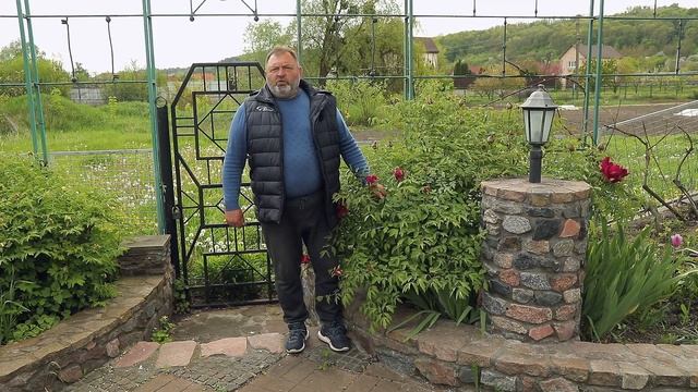 Древовидные пионы смотреть онлайн