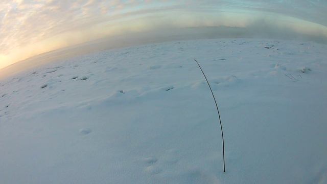 Первая проверка смотреть онлайн