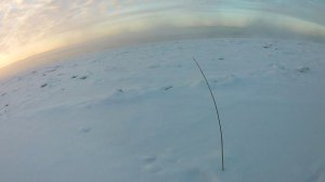 Первая проверка