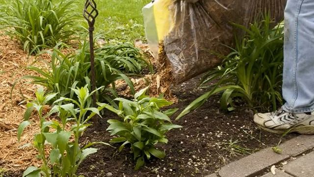 Что такое мульча в садоводстве смотреть онлайн