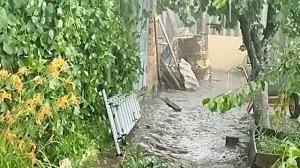 VID_20220622_125139.mp4