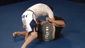 Приемы по греплингу