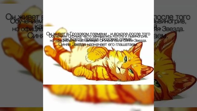 История Огнезвезда | Коты-воители смотреть онлайн