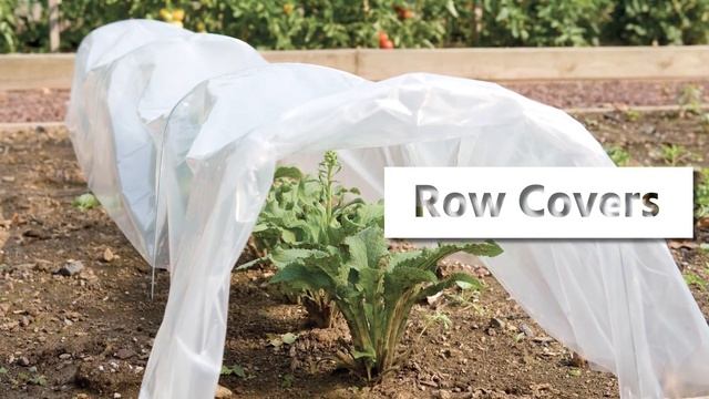 Quick Start Gardening Guide: How to Grow Brassicas смотреть онлайн