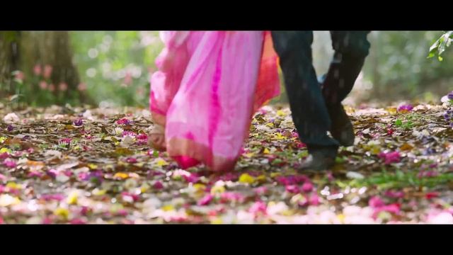 Nenu Local : Arere Yekkada Full Video Song - Nani, Keerthy Suresh, Devi Sri Prasad смотреть онлайн