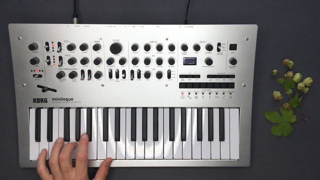 Korg Minilogue Sound Demo: Arps, Basses And Leads