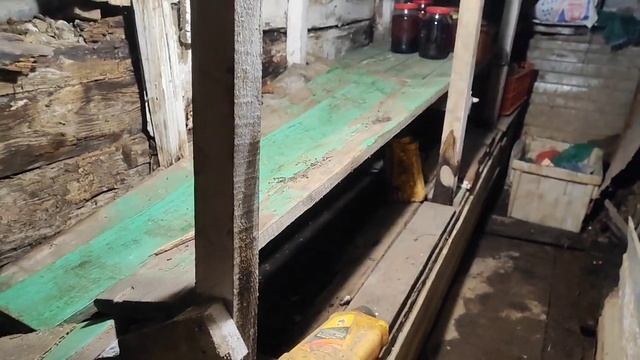 Теплица в необычном месте/Рассада под землёй #1#влог#сибирь#дача#огород#рассада#садоводство#цветы смотреть онлайн