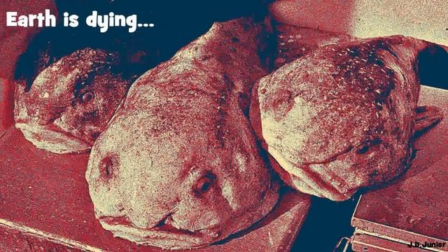 Земля умирает! (Earth is Dying) смотреть онлайн