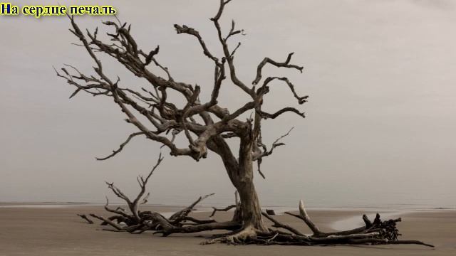 Любви испугавшись, получишь "На сердце печаль" смотреть онлайн