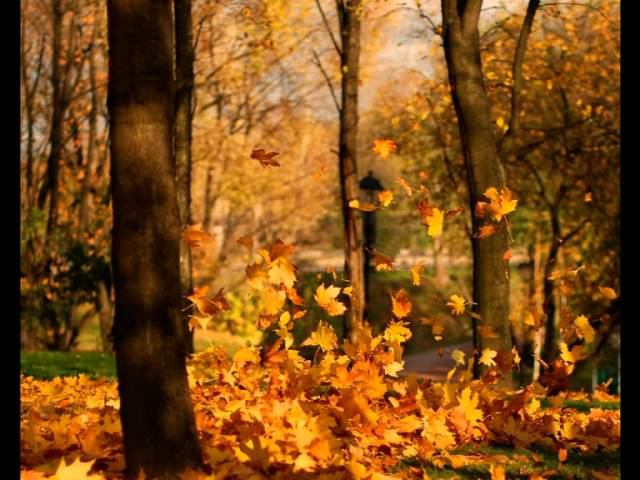 R. Schumann Aufschwung (Порыв)