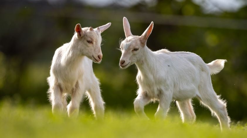 Видео почему россияне бросают города и переезжают в деревни