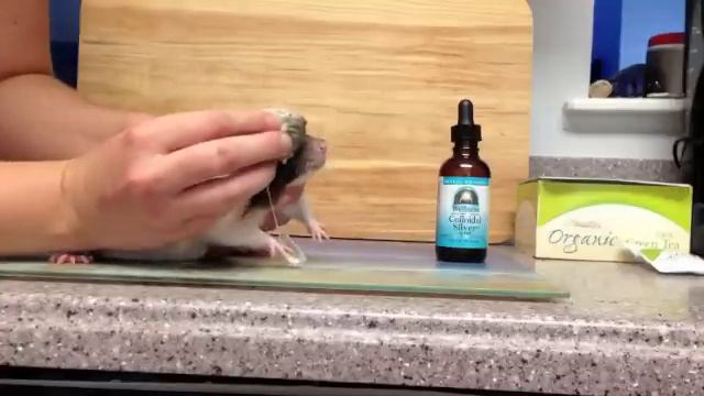 Series 1:1 - Recipe For Rat Eye Wash