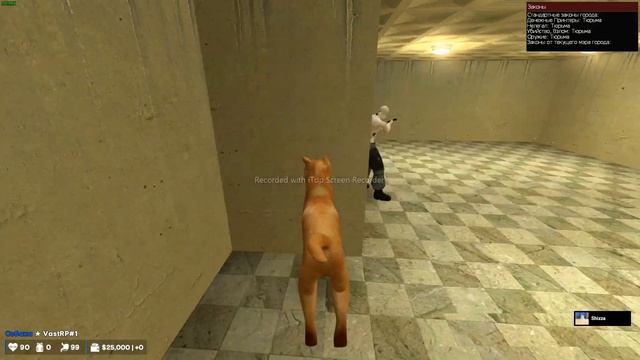 Vast rp 1 играем бешеной собакой смотреть онлайн