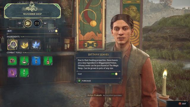 HOGWARTS LEGACY - Hufflepuff /27 - XBOX SERIES S смотреть онлайн