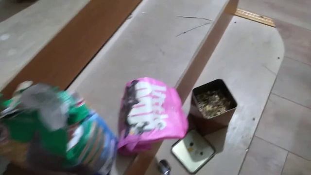 Как обустроить дом для шиншиллы смотреть онлайн