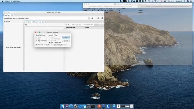 Validation of Remote OPC UA Server Connections using SSH Tunnels смотреть онлайн
