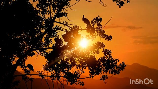 Стих "Я ЖДУ" смотреть онлайн