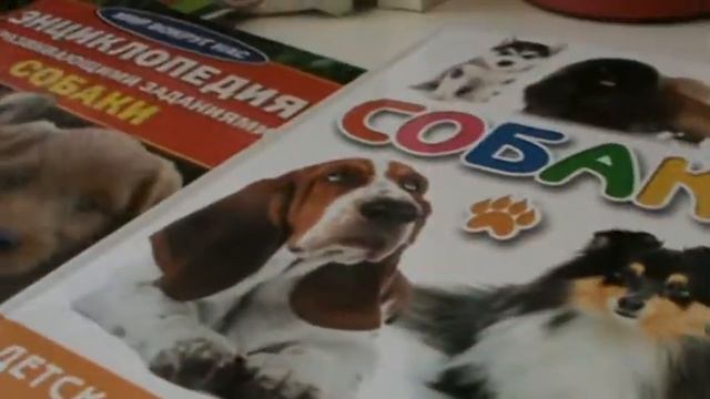 полноценный заказ с книгами! смотреть онлайн