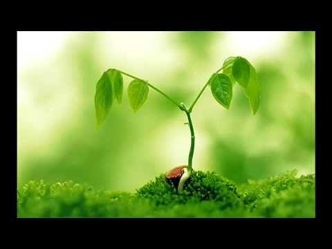 Омоложение (частоты человеческого гормона роста) смотреть онлайн