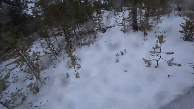 Мотобуксировщик IKUDZO EKR15 первый выезд, снег, лыжный модуль смотреть онлайн