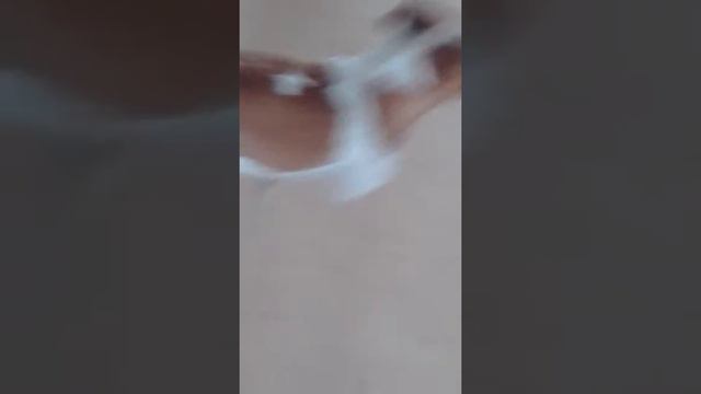 Моя собака так насица смотреть онлайн