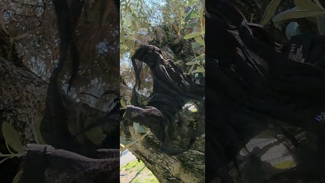 ?нашла резинку для волос смотреть онлайн