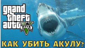 GTA 5 Как убить акулу? | ГТА 5