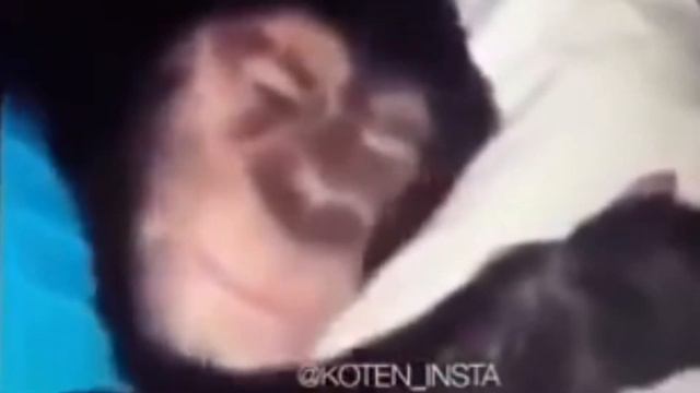У всех Ержан, а я чем хуже? :D смотреть онлайн