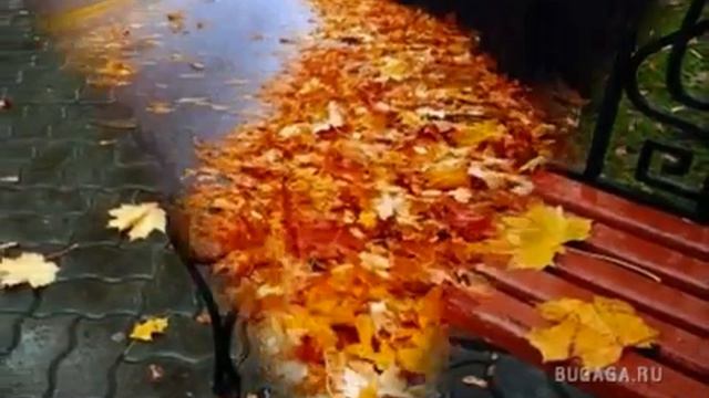 Осень женщина за 40 смотреть онлайн