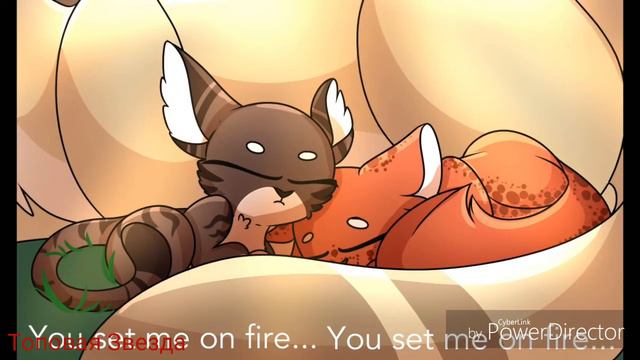 •Коты~Воители• ♡Между Нами Любовь♡ /Чит.Опис\ смотреть онлайн