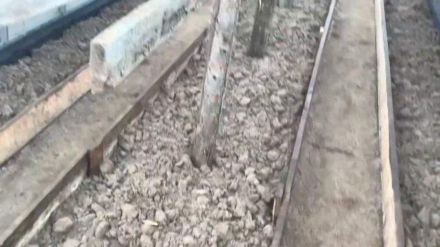 Наконец-то очистили от снега теплицы. смотреть онлайн