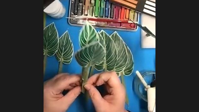 June Challenge- Philodendron Birkin смотреть онлайн