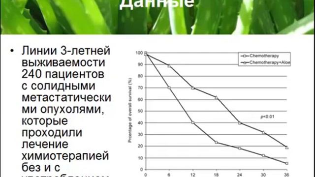 Исследование алоэ и химиотерапии. смотреть онлайн