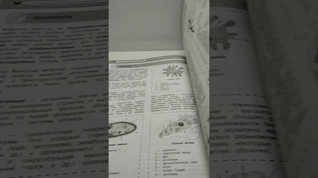 Многообразие животных. Простейшие, кишечнополостные, плоские черви. Биология 7 класс. ОГЭ ЕГЭ смотреть онлайн