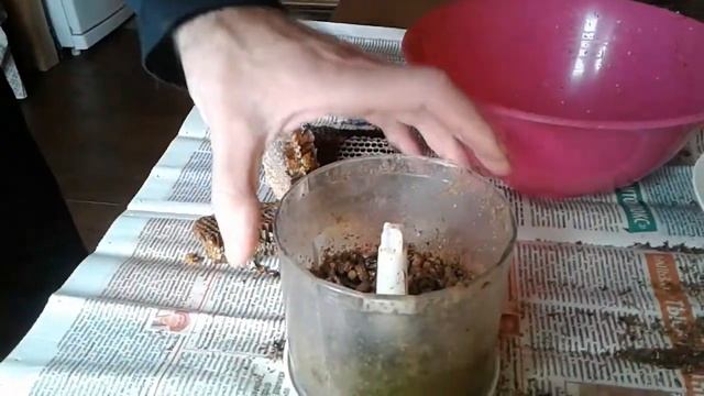 Добыча перги в домашних условиях. смотреть онлайн