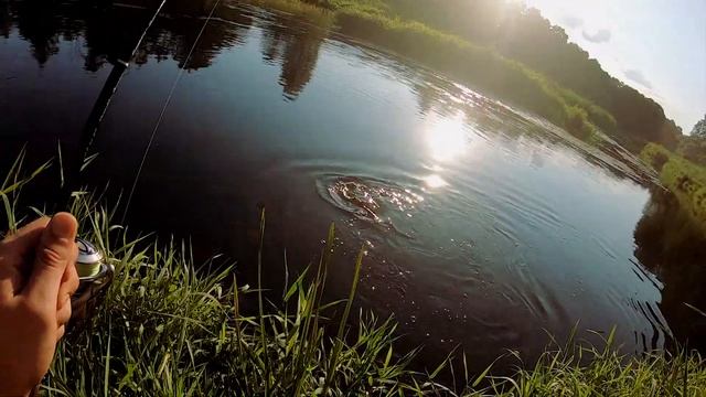 Fishing diary: Top water hunters 2 смотреть онлайн