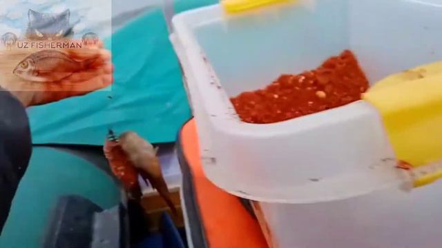 РЫБАЛКА НА КАРАСЬ 23.10.2021 смотреть онлайн