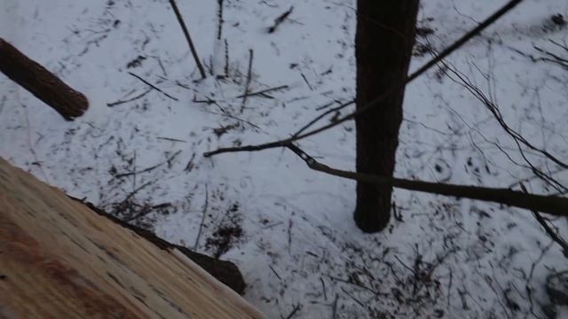 ДОМ В ЛЕСУ - ГИГАНТСКИЙ ДОМ НА ДЕРЕВЕ 5 ч - Сергей Трейсер - ВЫЖИВАНИЕ смотреть онлайн