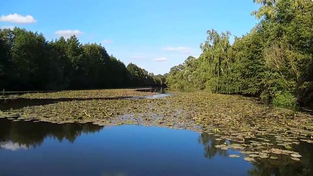 Волхонщина - красивый водоём смотреть онлайн