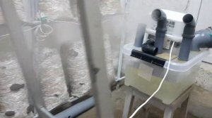 Обзор помещения для выращивания вешенки. Микроклимат в камере проростания.