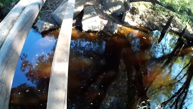 Родная деревня прогулка вдоль реки ловать поднялся на мост, смотреть онлайн