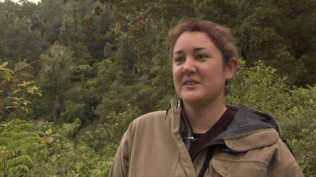 Meet the Locals: Kōkako translocation смотреть онлайн