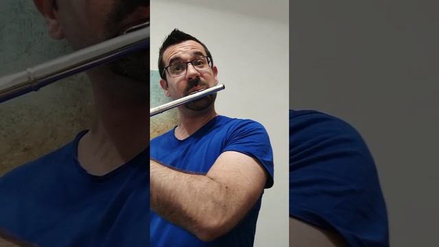 Mendelssohn Midsummer Night's Dream Scherzo flute solo ONE breath смотреть онлайн