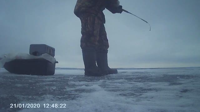 ЛОВЛЯ СУДАКА И БЕРША НА МАЛЬКА .ОТЧЕТ ЗА 21.01.2020. смотреть онлайн