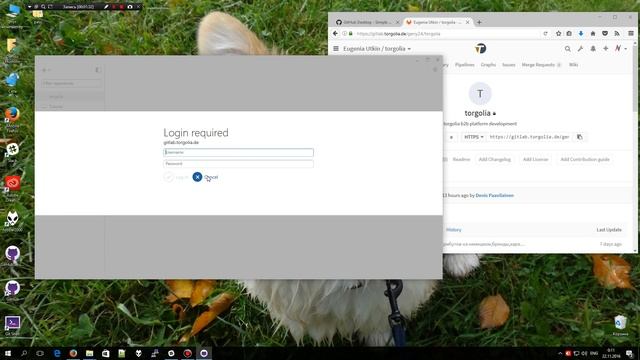 (Old GitHub desktop) How to use GitHub Desktop with GitLab смотреть онлайн
