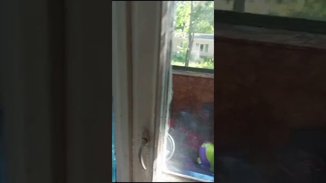 Хочу гулять!